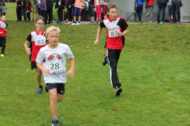 crosscountry2016_bezirkperg 15